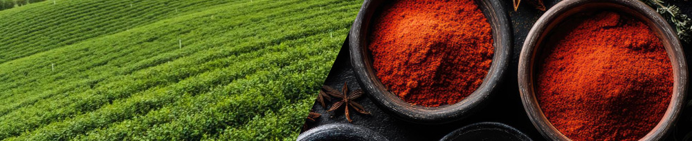 Leo United Industries India Private Limited